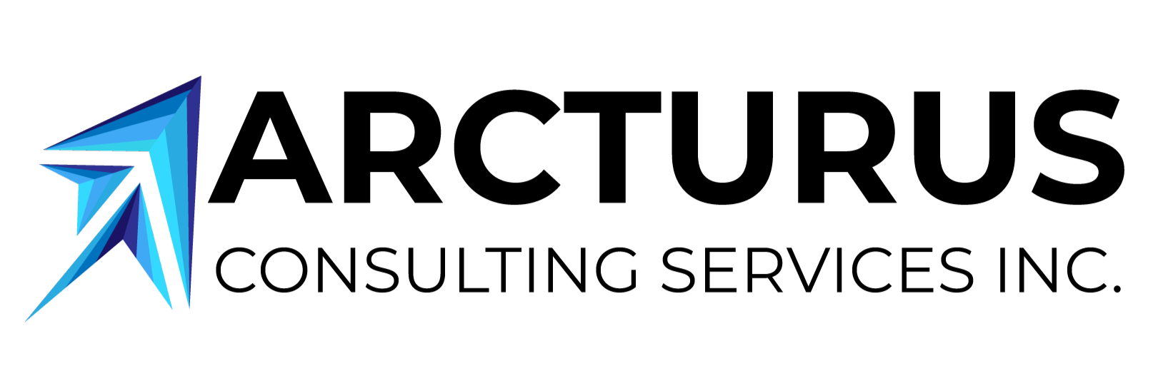 Arcturus Consulting Services